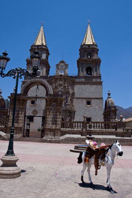 The church in Talpa de Allende is home to one of the most venerated virgins in all of Mexico. Apparently it's also home to a fake pony photo prop.