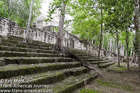 StructureVIII-Calakmul