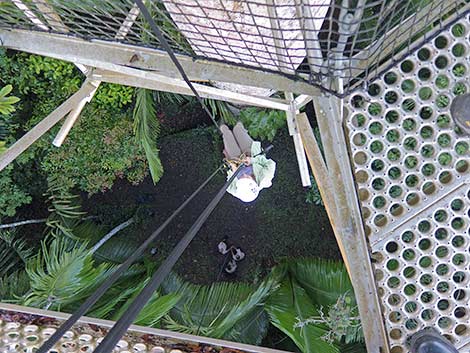 Belize-Lodge-Excursions_Canopy-tour-2