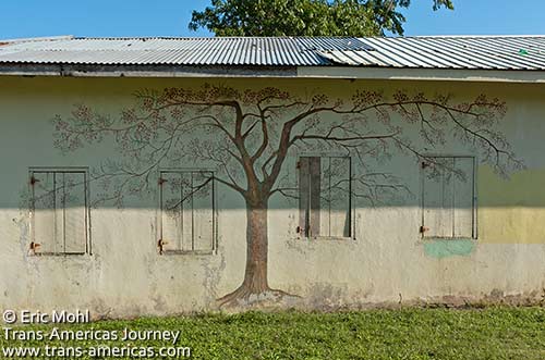 Ceiba tree painted on a school in Belize