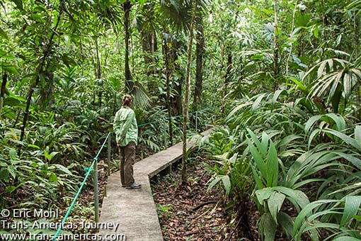 Trail at Mawamba Lodge Tortuguero National Park, Costa Rica
