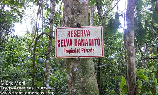 Reserva Selva Bananito, Costa Rica