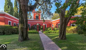 Our Latest Work: Luxury Hotels Across Argentina