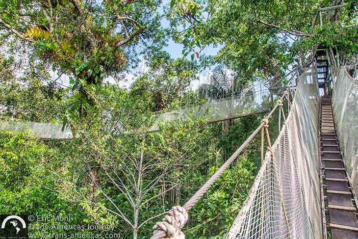 Explorama jungle canopy walkway