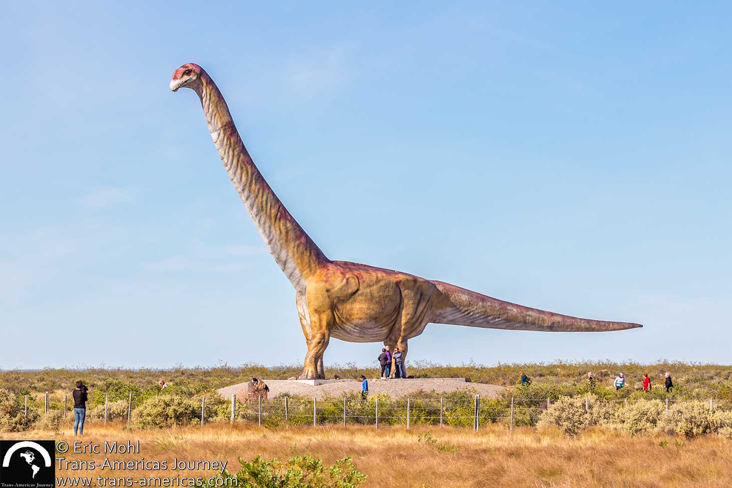 Patagotitan worlds largest dinosaur trelew argentina